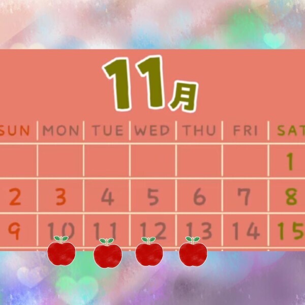 今週の予定です♪