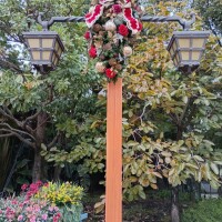 丈夫すぎて出勤