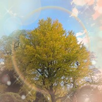 昨日も感謝致します(ㅅ´꒳` )❤️