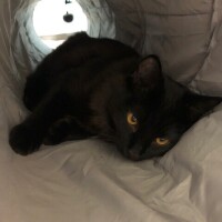 おはようございます🌞