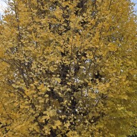 おはようございます✨