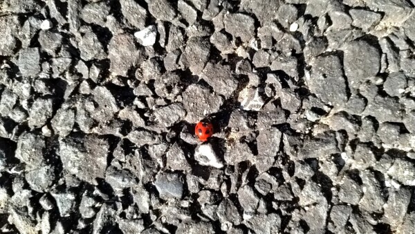 終わりの始まり🎀