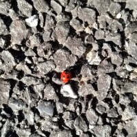 終わりの始まり🎀