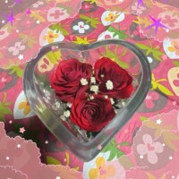 寒いですね❄︎