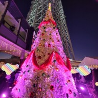 ご予約ありがとぅございます✨