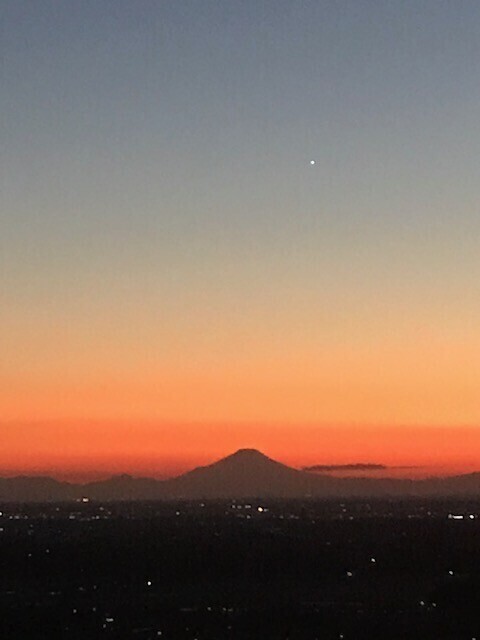 (ㅅ･~･̥ )⟡.·