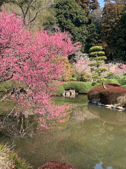 おはようございます😃