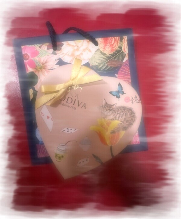 わぁ雪だー❄︎ ☃︎𓈒❅*॰