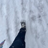 おはようございます