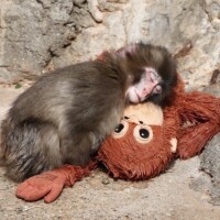 18時から出勤🫶✨