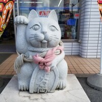 おはようございます