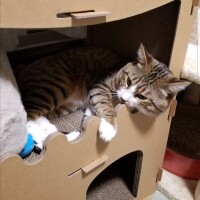 水曜日のお礼💌