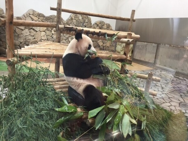 (՞っ ̫ _՞)𓈒𓂂𓏸