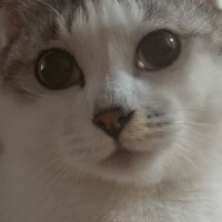 本日もありがとうございました