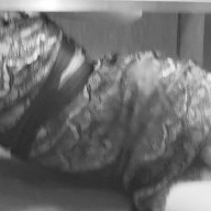 ｵﾊﾖｫ(’つωｰ`).｡oO