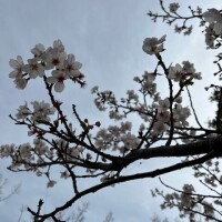 ꒰ᐡ֊  ̫ ֊ᐡ꒱ᶻ𝗓❤︎