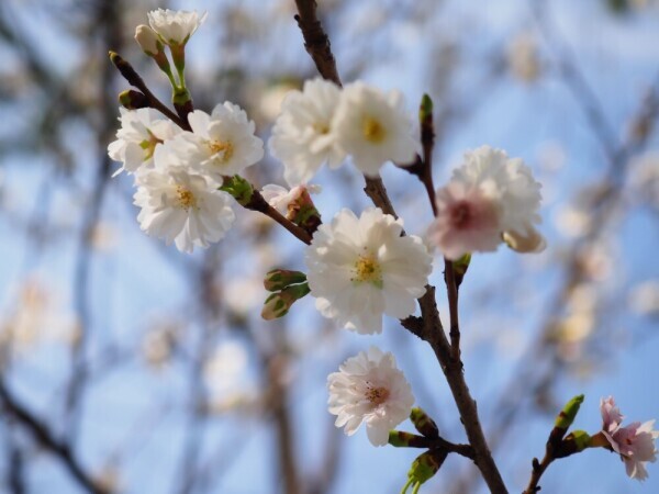 18時まで受付🌱