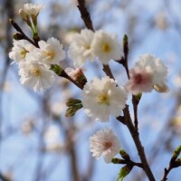 18時まで受付🌱