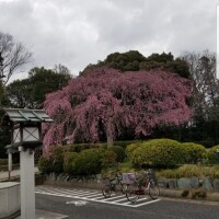 おはようございます