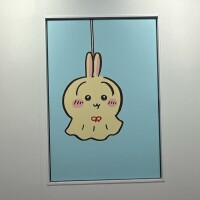 ウラッ♪ (◜o̴̶̷̤൧ o̴̶̷̤◝)