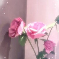 ꕤ*◝(✾˙꒳˙ꕤ)◜コンニチハꔛ‬ꕤ