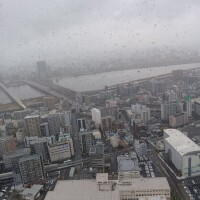 なめろう焼いたらサンガ焼き