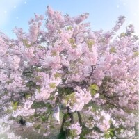 (´‐｀*)ﾎﾟｶﾎﾟｶ