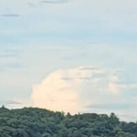 おはようございます