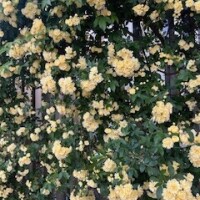 はじめまして♡