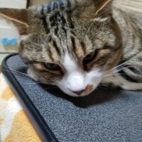 こんばんは🌛