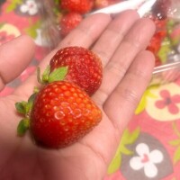 土曜日ありがとう‪⸜(*ˊᵕˋ*)⸝‬