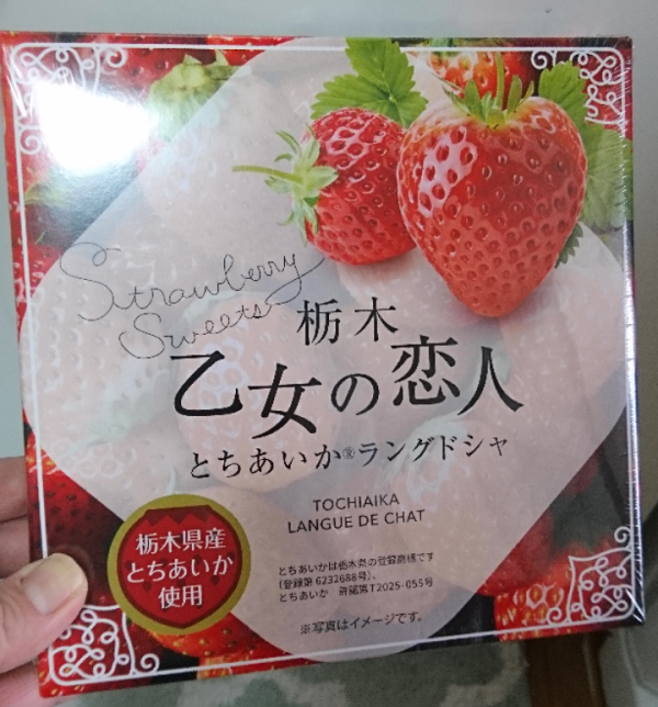 今日は17:00うけまで～(*´∇｀*)