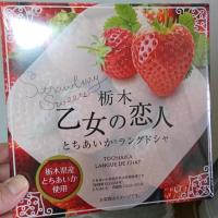 今日は17:00うけまで～(*´∇｀*)