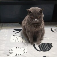 おはようございます🙏