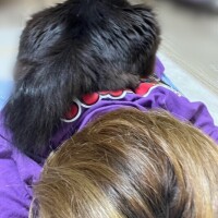 なな