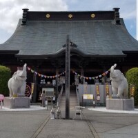 おはようございます