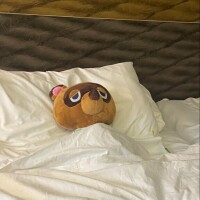 お休み?