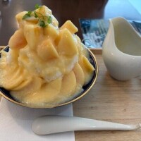 今日から( ?????)
