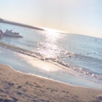 春野はるね