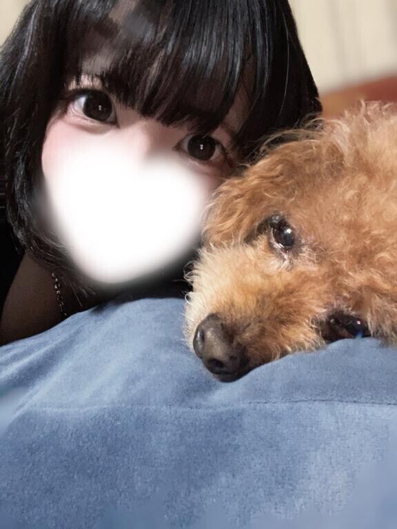 やほみ?