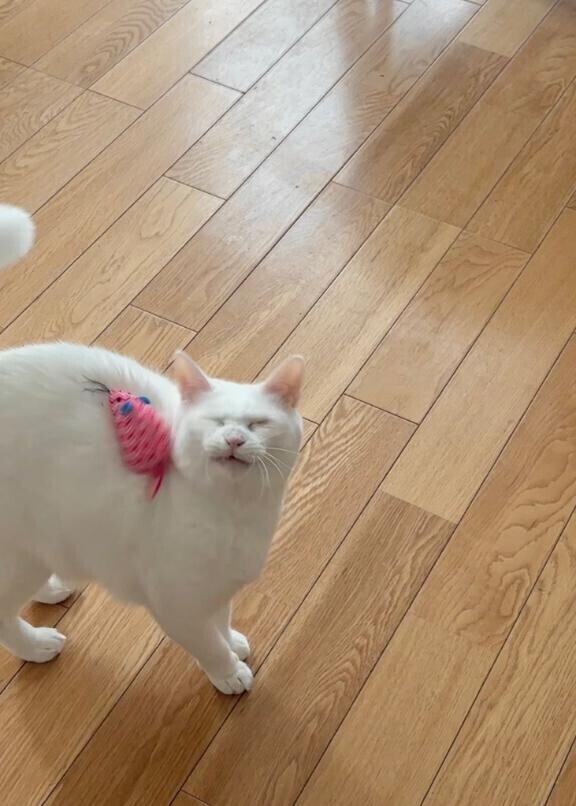 ?