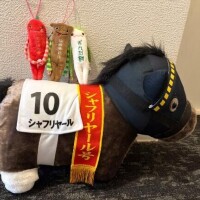 またねん( ¨? )ﾉﾞ