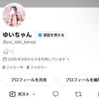 Xできた