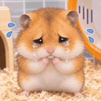 ?明日からに変更です??