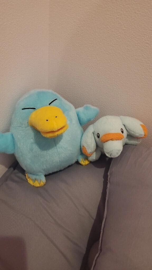 ポケカ新弾買った…？