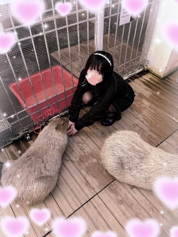 だーいすき