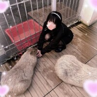 藤崎ゆうか