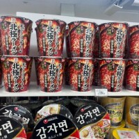 森野くま