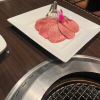 森野くま