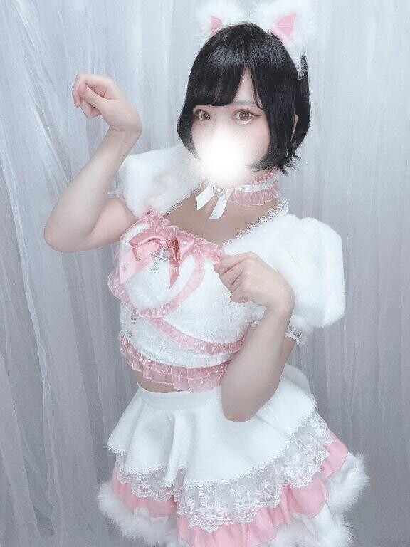 ?せいかにゃんこ?